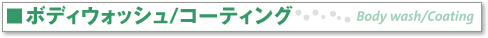 �󗈎Y�� �{�f�B�E�H�b�V���^�R�[�e�B���O