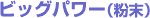�r�b�O�p���[�i�����j