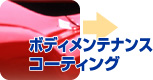 �{�f?�����e�i���X�E�R�[�e�B���O