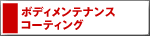 �{�f�B�����e�i���X�^�R�[�e�B���O
