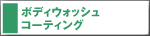 �󗈎Y�� �{�f�B�E�H�b�V���^�R�[�e�B���O